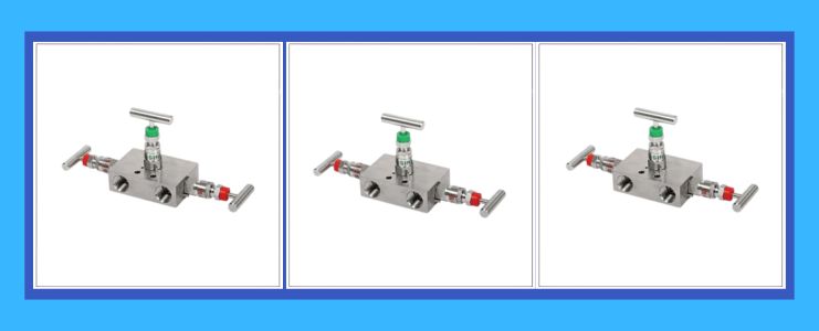 SS Manifold Valve Fittings
