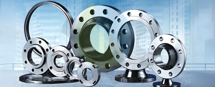 SS 310S Flanges