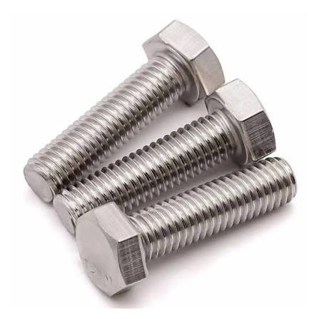 SS Hex Bolt