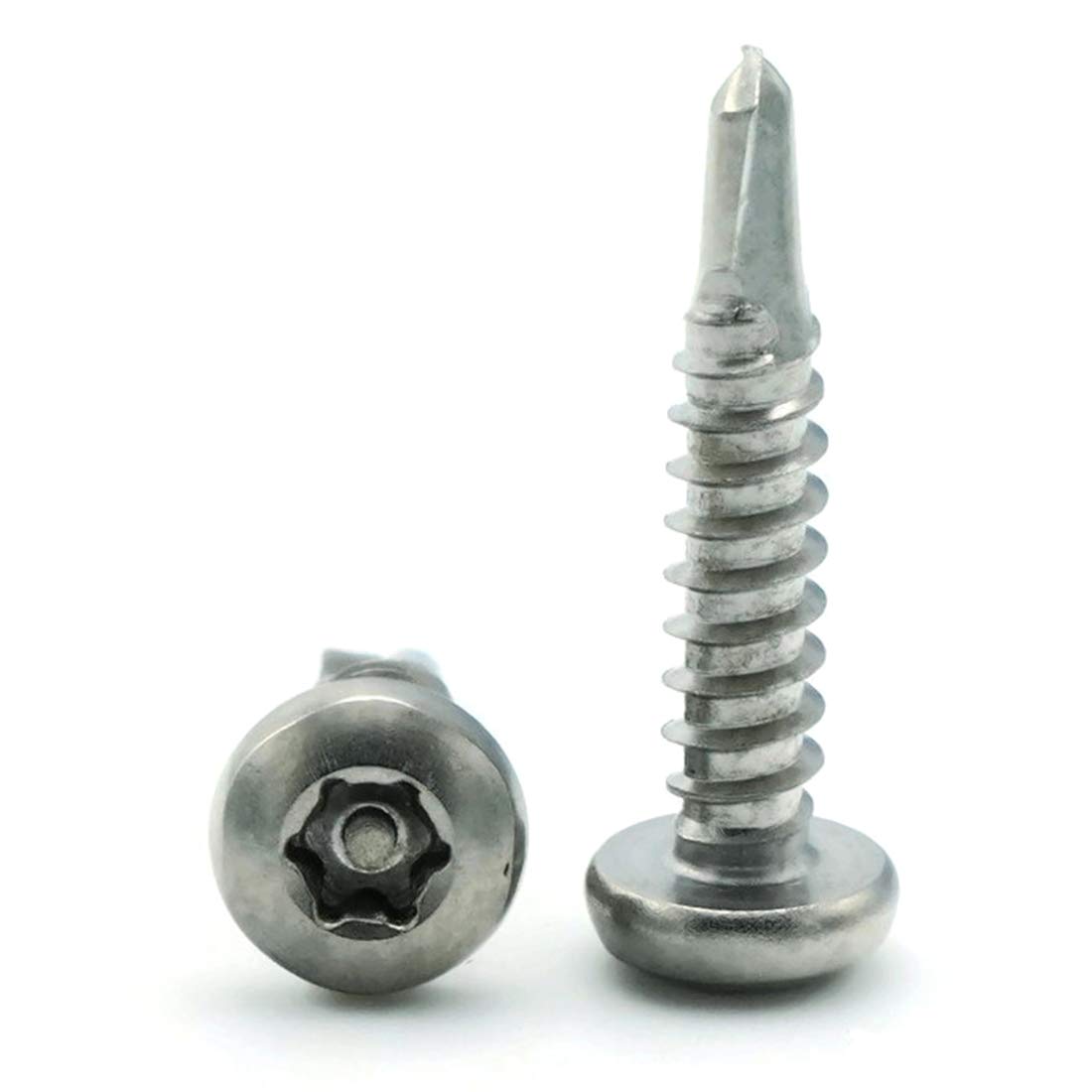 Tamper Proof Self Drilling Screws
