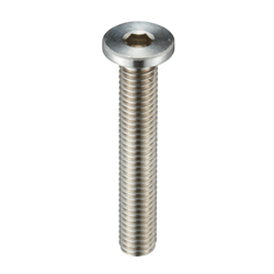 SS Socket Low Head Cap Screw